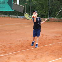 IMG 9474