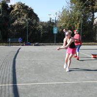 IMG 0100