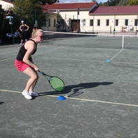IMG 0181