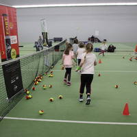 IMG 2203