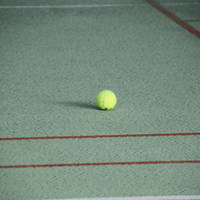 IMG 6274