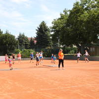 IMG 7179