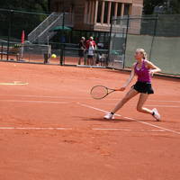 IMG 8297